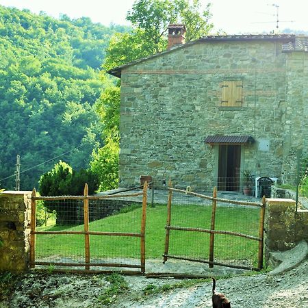 Casa Titina Riposo E Relax Nella Campagna Toscana 프라토베키오 외부 사진