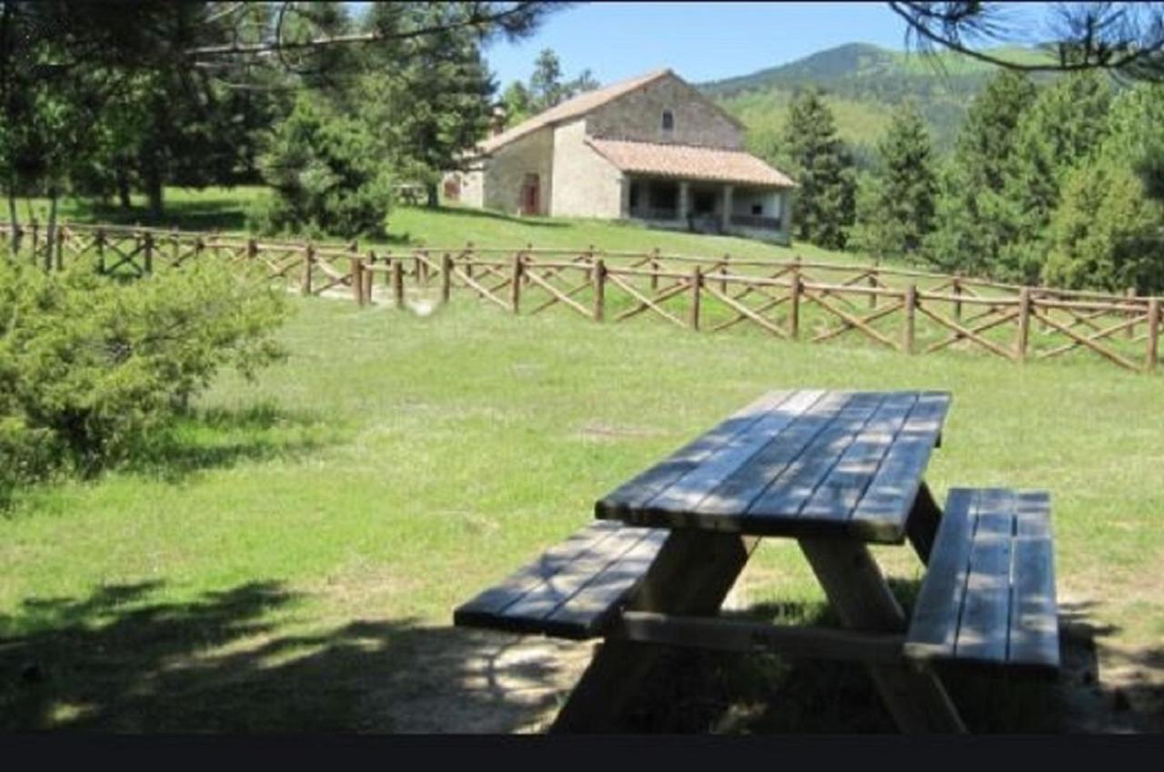 Casa Titina Riposo E Relax Nella Campagna Toscana 프라토베키오 외부 사진