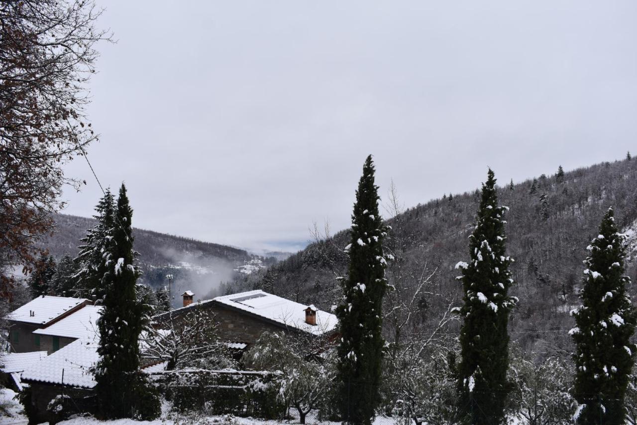 Casa Titina Riposo E Relax Nella Campagna Toscana 프라토베키오 외부 사진