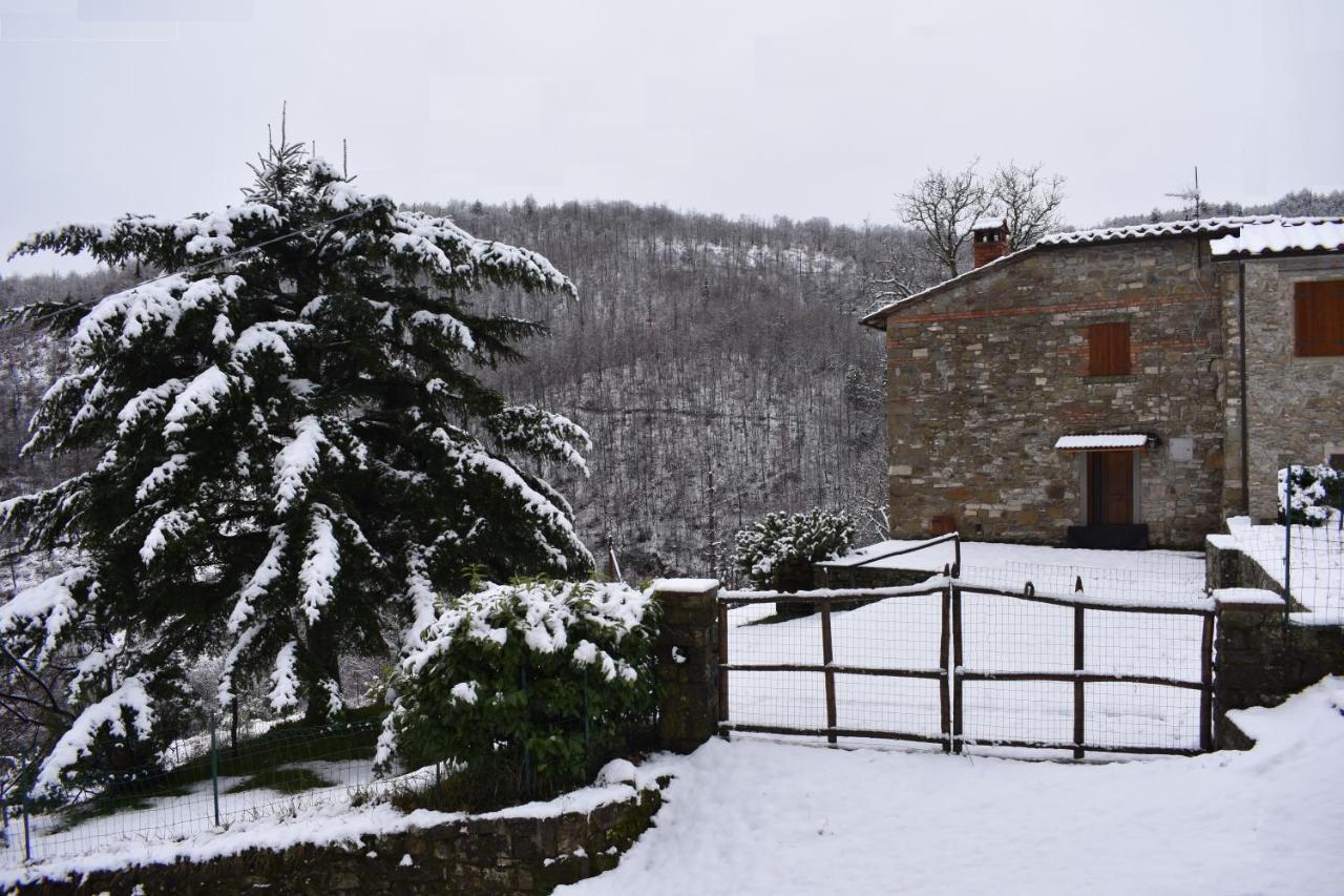 Casa Titina Riposo E Relax Nella Campagna Toscana 프라토베키오 외부 사진