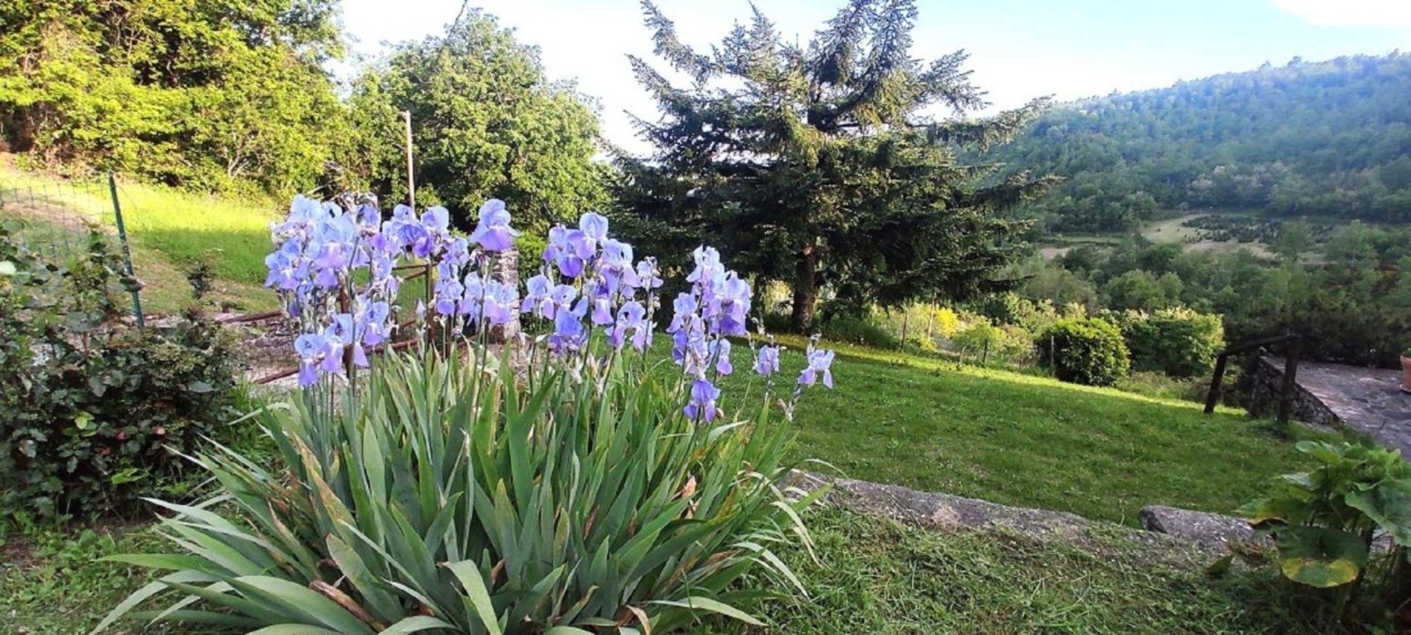 Casa Titina Riposo E Relax Nella Campagna Toscana 프라토베키오 외부 사진